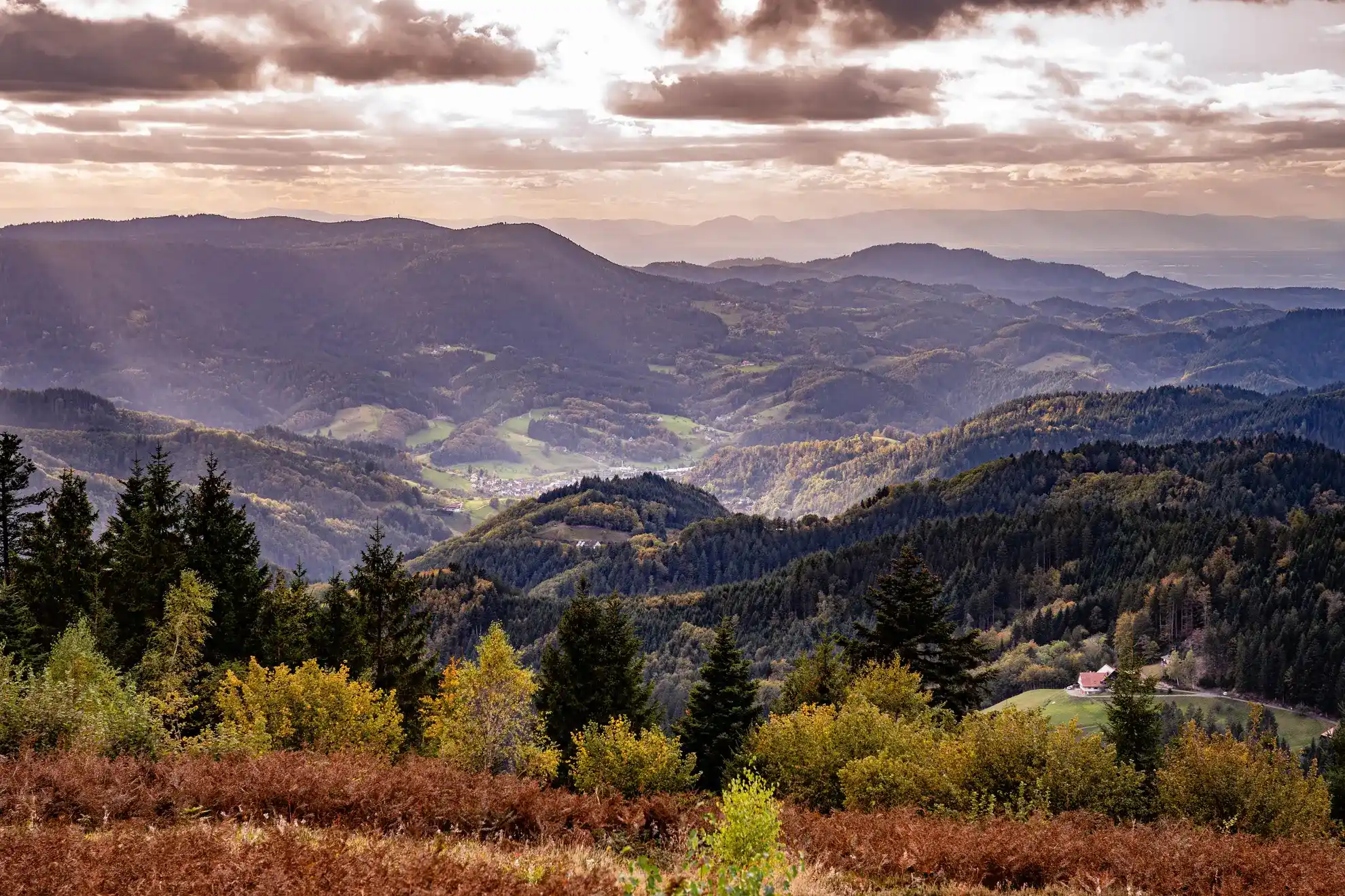Vallées et montagnes boisées sous un ciel lumineux aux couleurs douces
