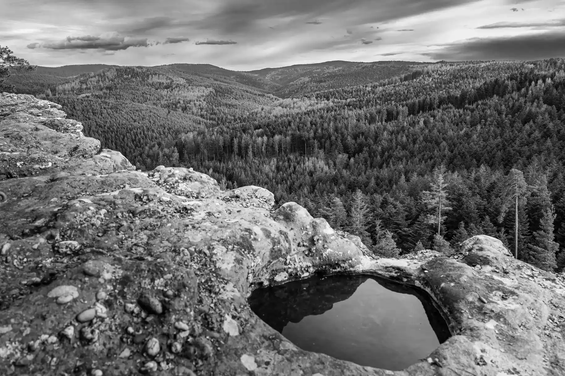 Rochers et forêt photographiés en noir et blanc sous un ciel nuageux