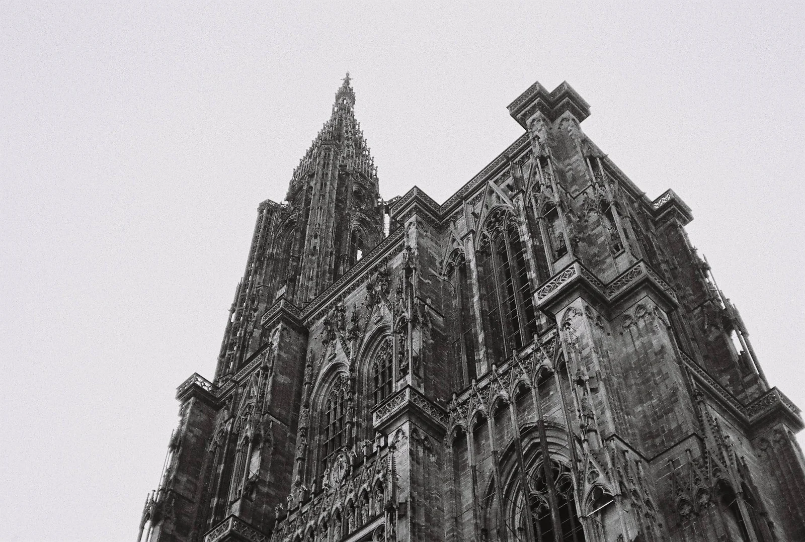 Cathédrale Notre-Dame de Strasbourg photographiée en contre-plongée et en noir et blanc